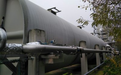 BIOGAS DESULPHURISATION