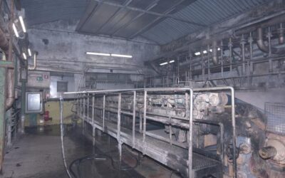 FLUTING PAPER MACHINE width 2.500 mm